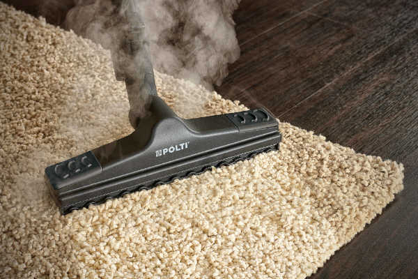 Odkurzacz parowy Polti Vaporetto Lecoaspira FAV50 Multifloor
